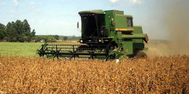 Preocupación en el sector agrícola nacional: sequía impacta en siembra de soja