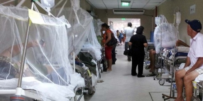 IPS alerta que aumentan los casos febriles por dengue