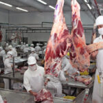 Aún no se conoce volumen de carne que será enviado a Canadá
