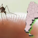 Argentina supera 333.000 casos y 238 fallecidos por dengue