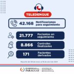 Más de 21.000 pacientes fueron monitoreados a través de Teledengue