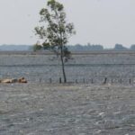 Inundaciones en Ñeembucú: 1.806 familias afectadas y 180 desplazadas