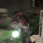 Sexagenaria muere calcinada en incendio de su vivienda