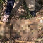 Hallan restos óseos en estancia de Choré y Fiscalía ordena análisis forense
