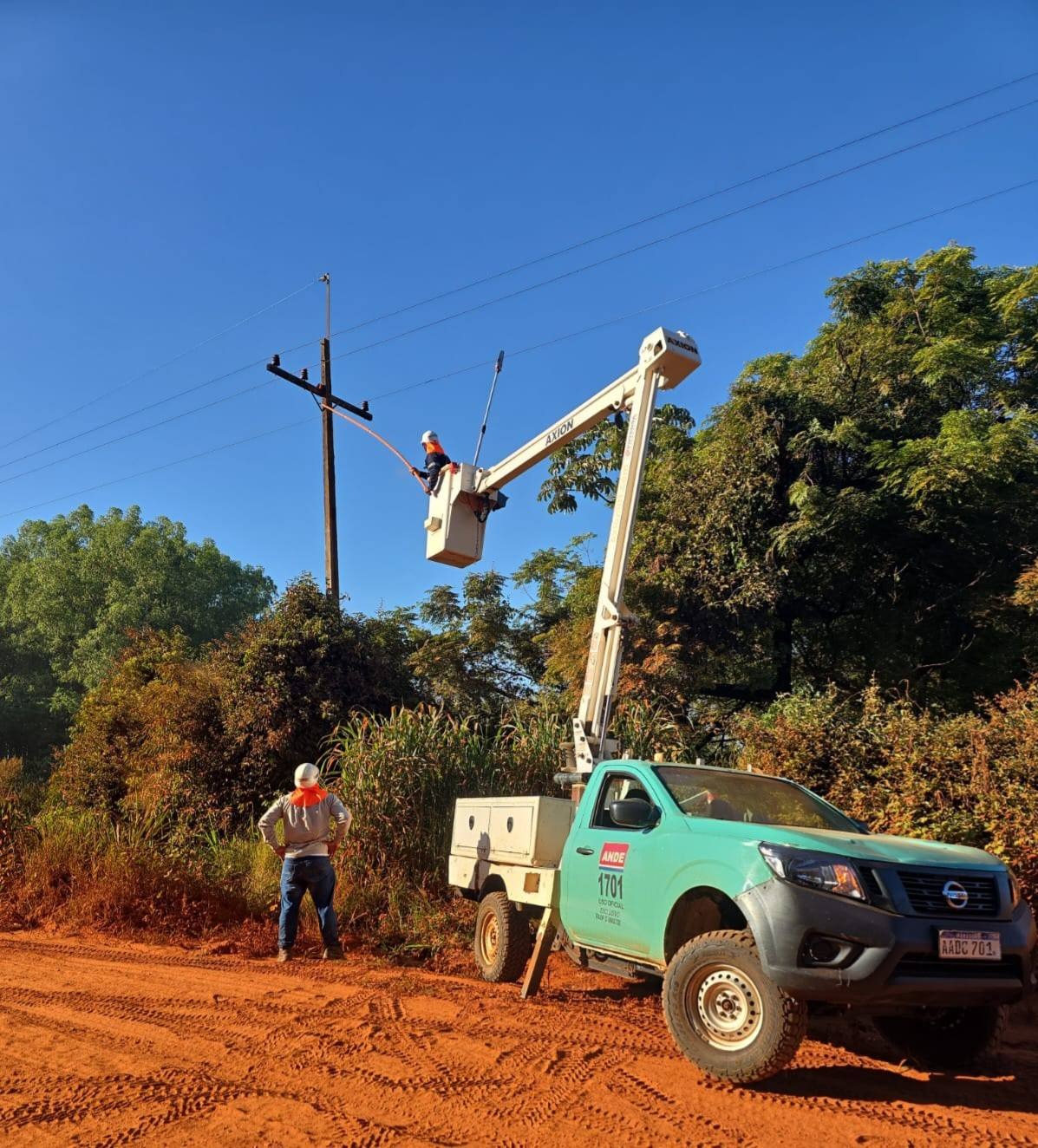 ANDE realiza mantenimiento preventivo de redes eléctricas en Yguazú ...